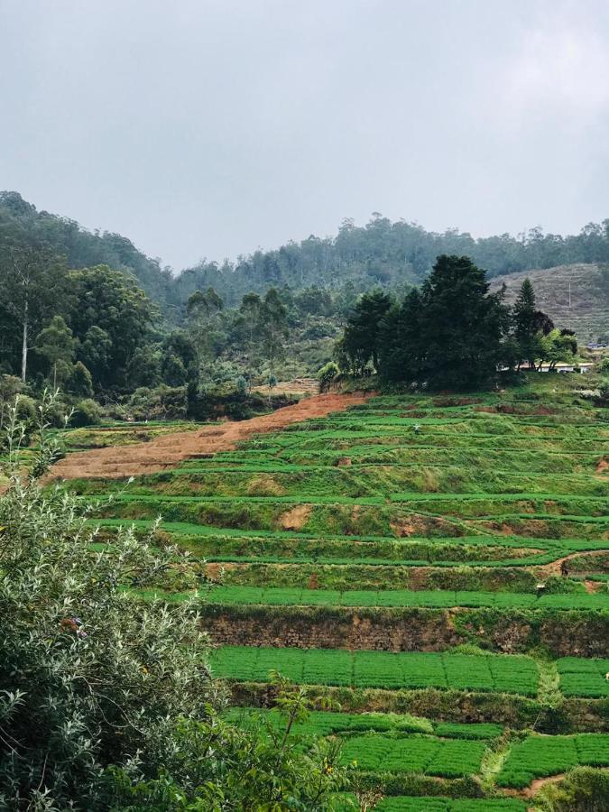 Mountain View Cottage Ooty Extérieur photo