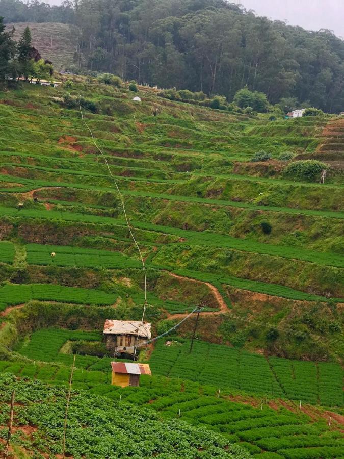 Mountain View Cottage Ooty Extérieur photo